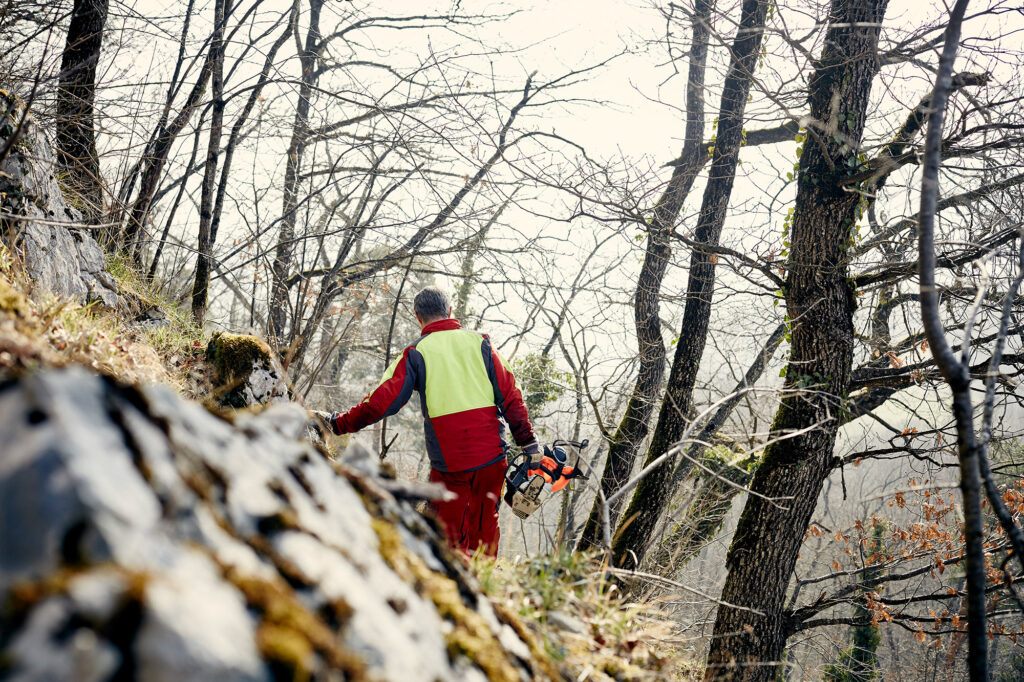 gruenspecht-slider-2